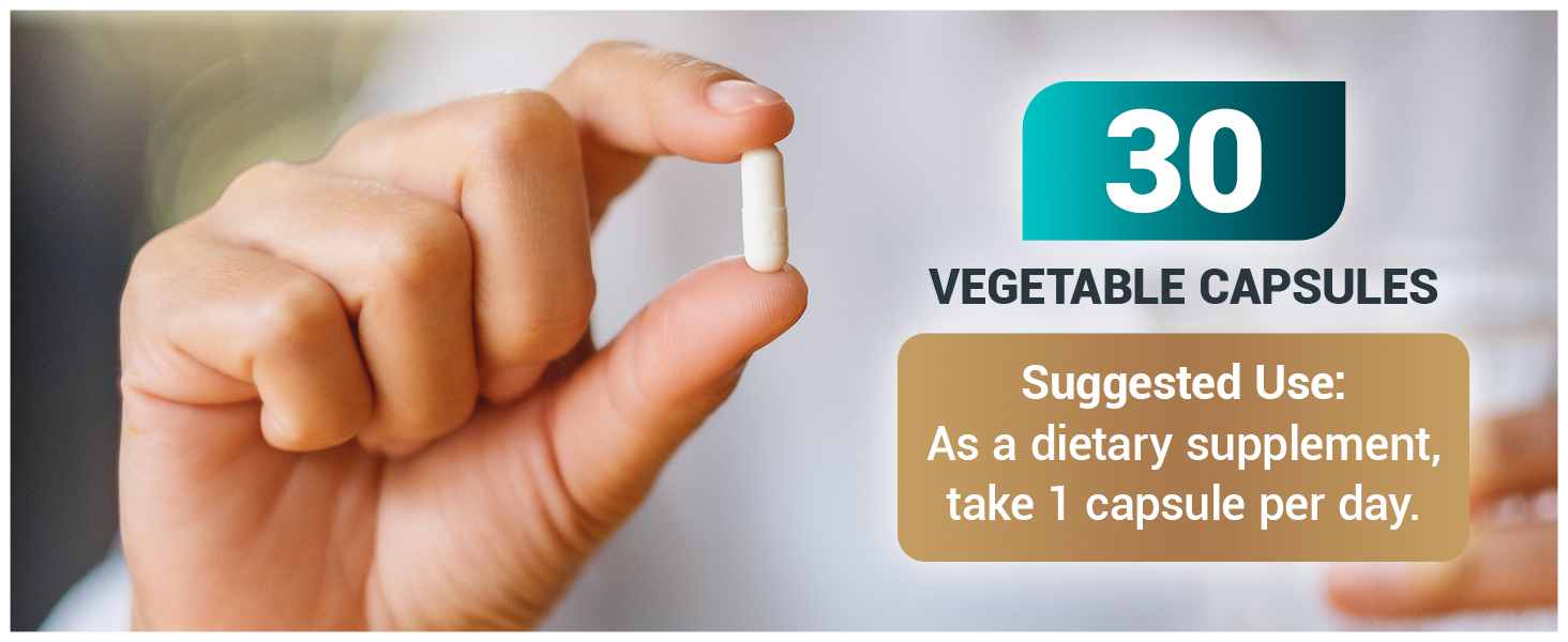 Dr. Berg TUDCA Supplement Premium A+ Content gut health liver health liver function digestion