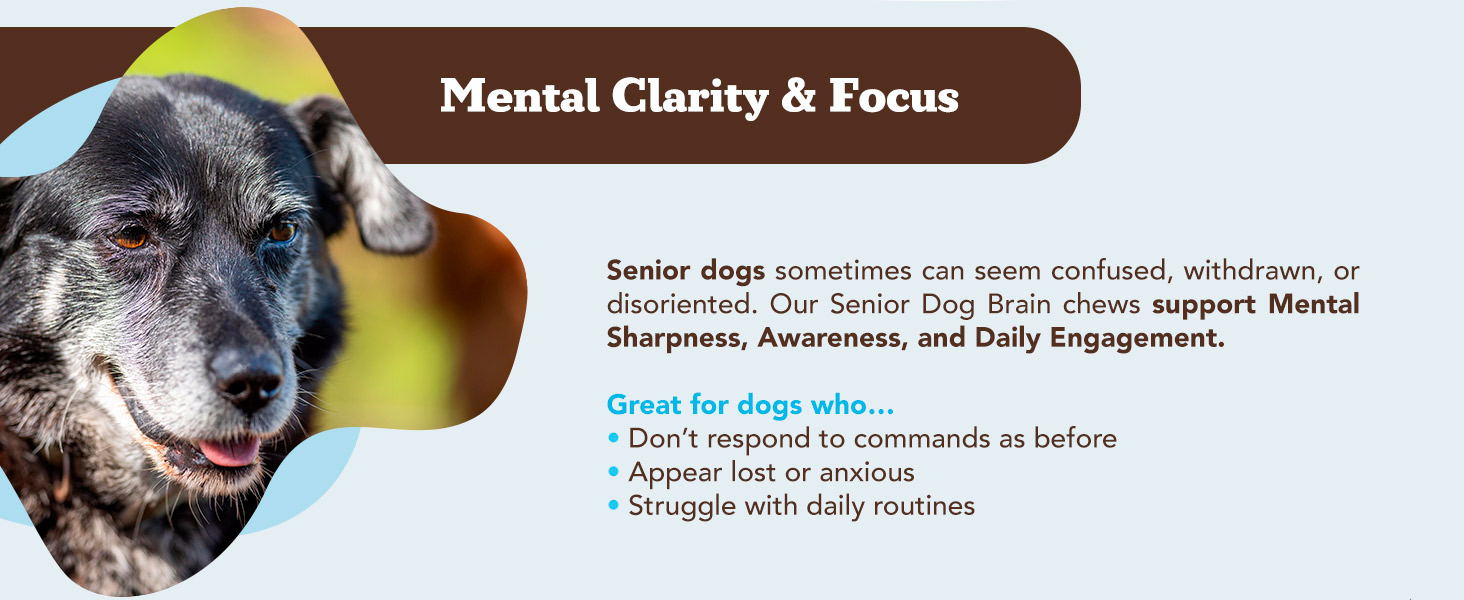dog cognitive decline support joint and brain supplement for dogs heart circulation chews for senior