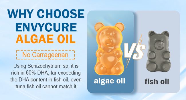 vegan omega 3