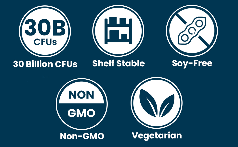 Shelf Stable NON-GMO Soy Free Dairy Free Vegetarian