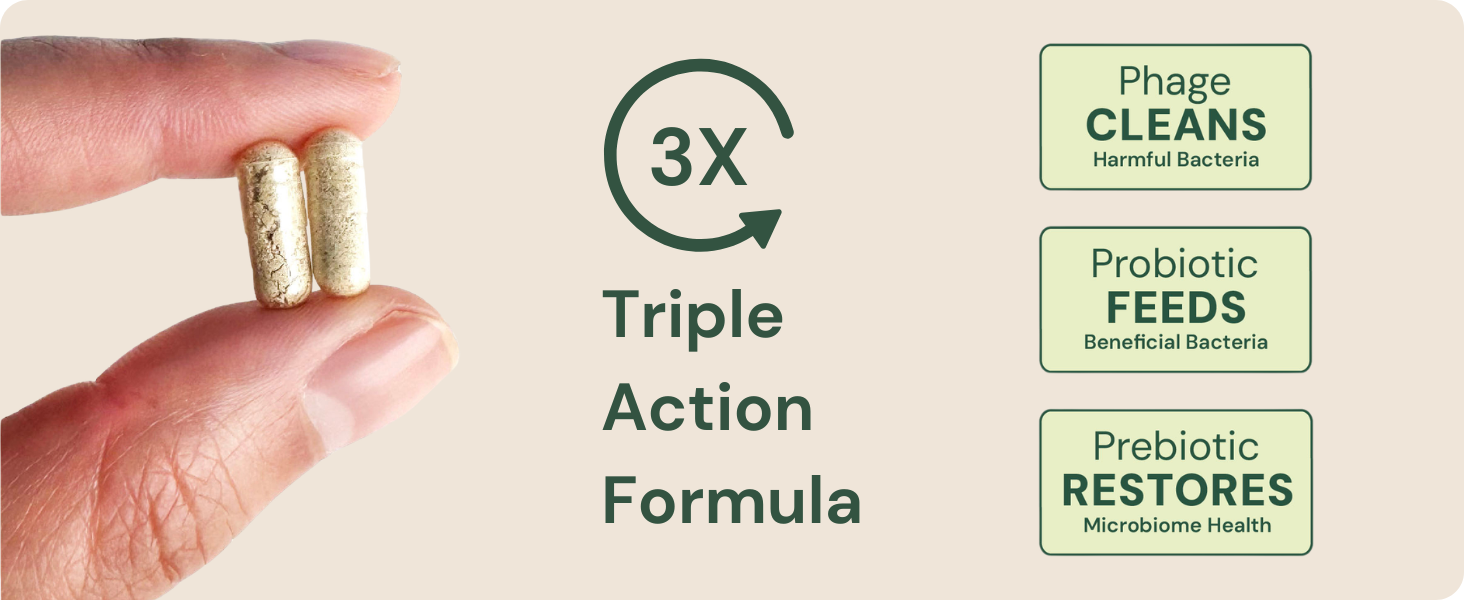 Triple action formula Phage cleans Probiotic feeds Prebiotic restores dogs digestive health