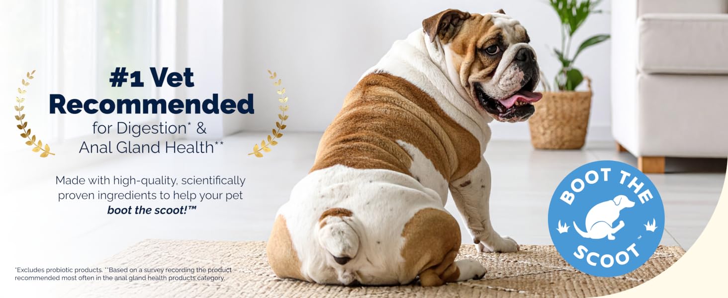 Vetnique Glandex for dogs who scoot, #1 vet recommended for anal gland and digestion health