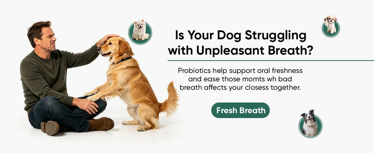 Probiotics for Dogs