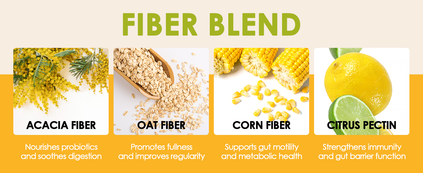 just better prebiotic fiber fiber choice prebiotic fiber supplement organic supplements