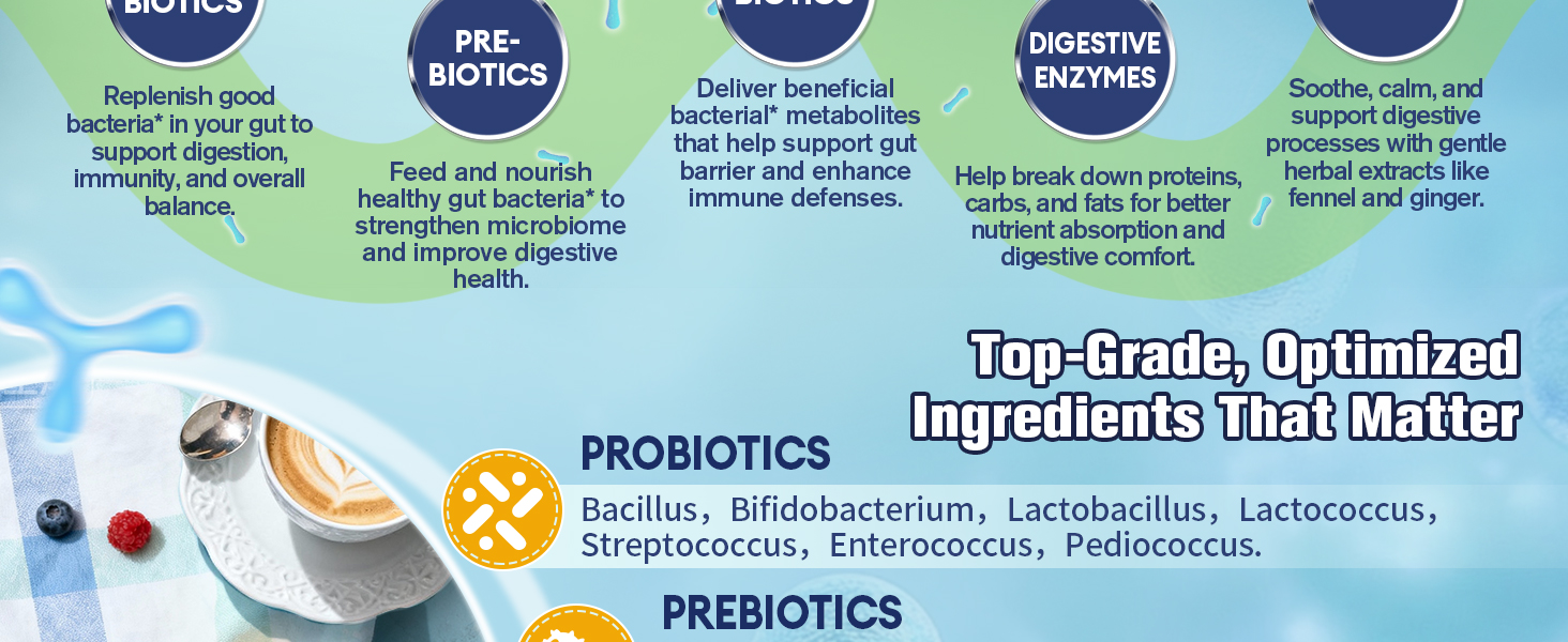 digestion health