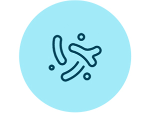 NewRhythm Probiotic contains digestive enzymes