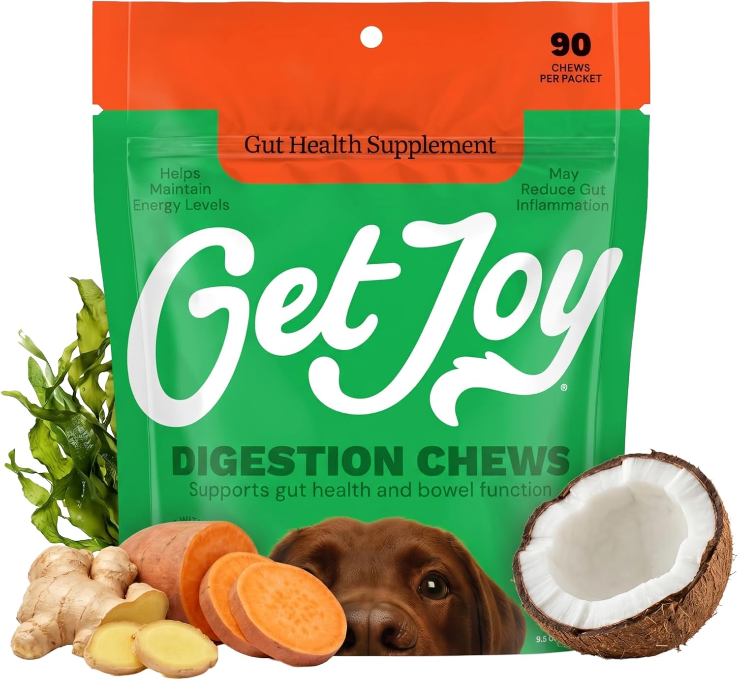 Get Joy Digestion Chews, Gut Health Supplement for Dogs, Vet Recommended Soft Daily Digestive Health