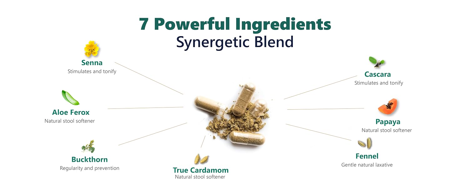 digestic 7 powerful ingredients synergetic blend