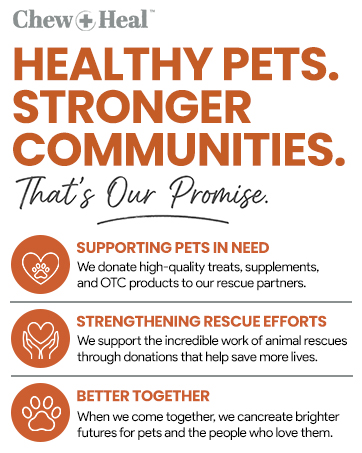 Chew + Heal dog supplements, dog supplements