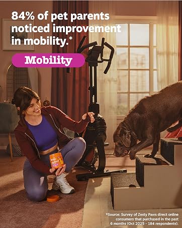 hip and joint for dogs