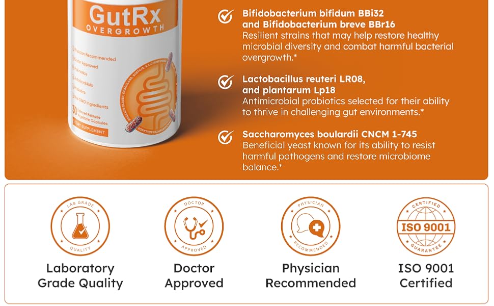4 Strains to Transform Your Gut Health