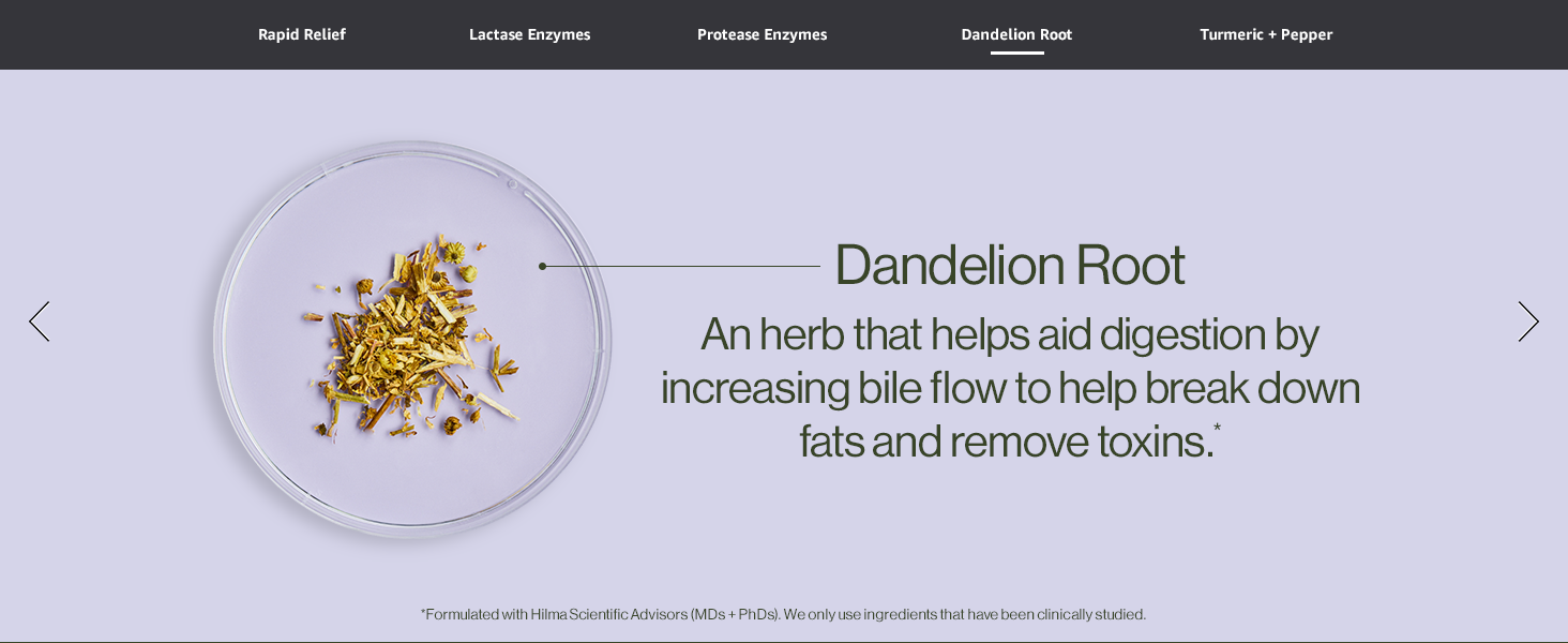 Dandelion Root