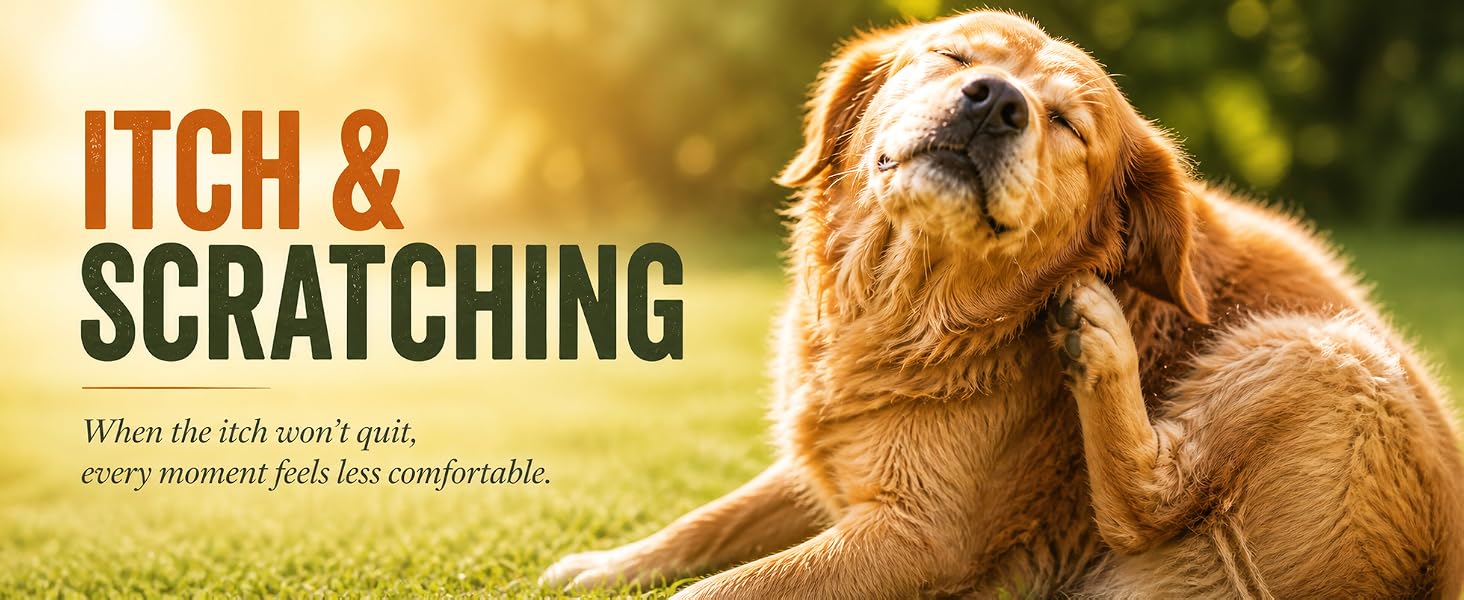 Allergy &amp;amp;amp; Itch Relief for Dogs