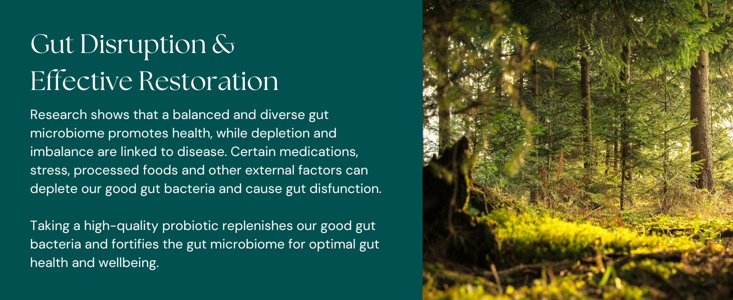 Gut Disruption