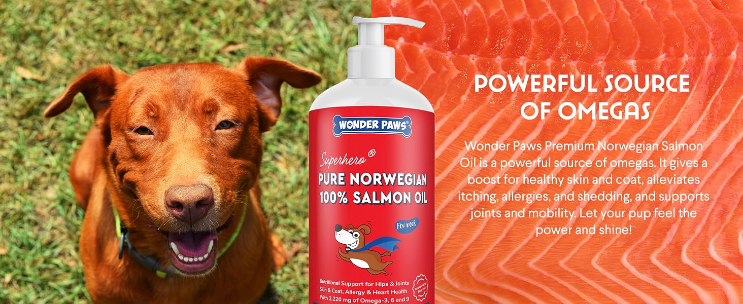 Salmon oil