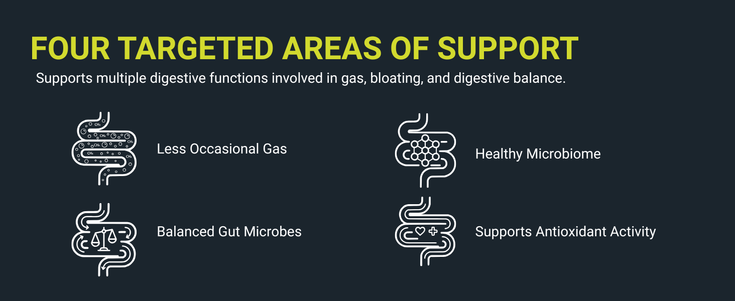 Four targeted areas of support