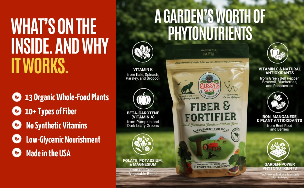 fiber and fortifier