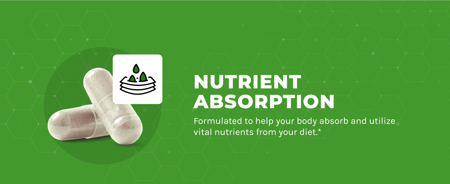 Prebiotics and probiotics for women and men probiotic acidophilus dietary supplement enzymes