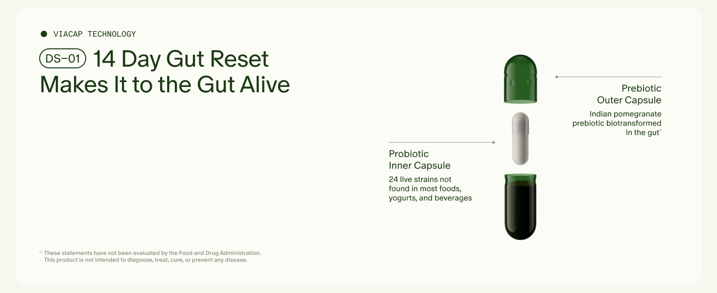 14 Day Gut Reset Makes It to the Gut Alive