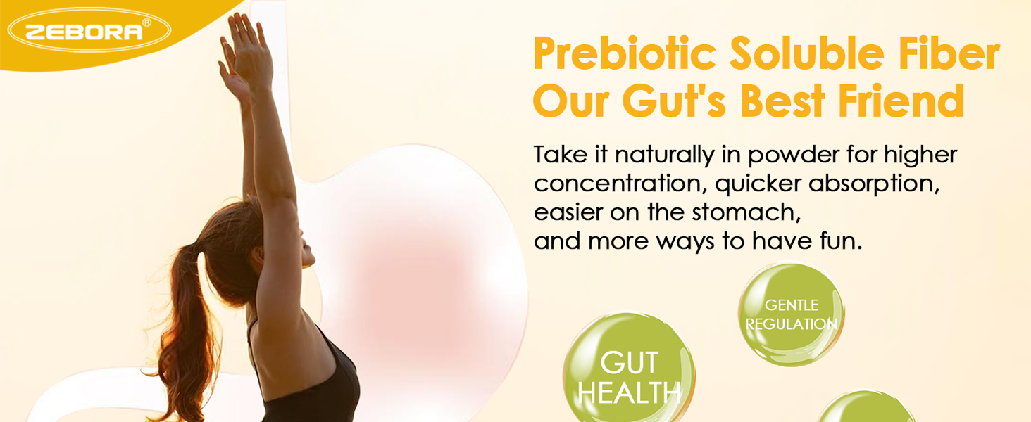 probiotic powder fiber drink fiber cleanse high fiber protein powder highest fiber supplement