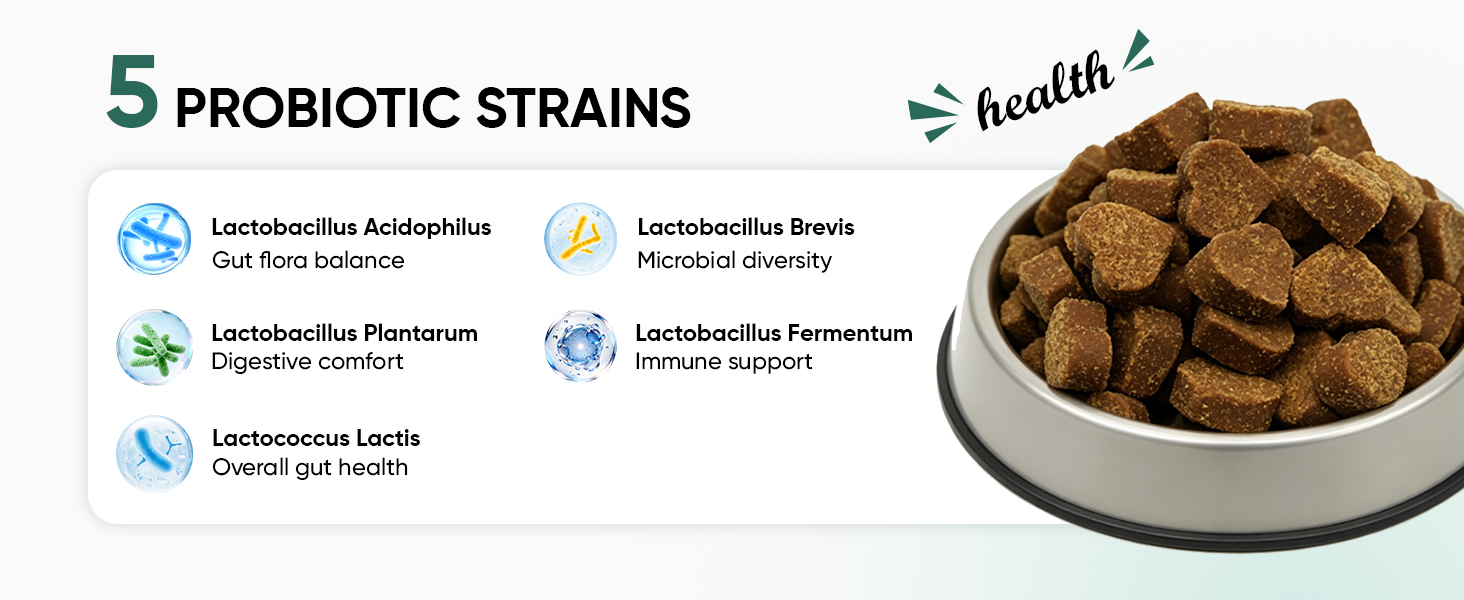 Probiotics for Dogs
