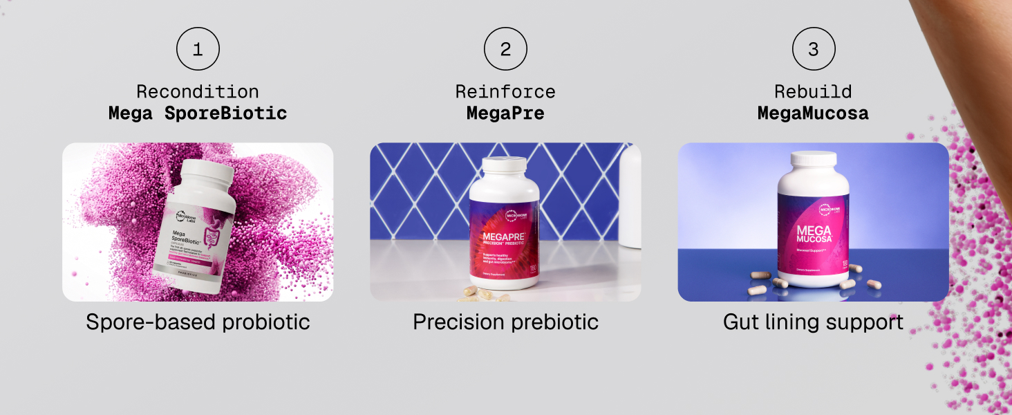 Get more out of your probiotic prebiotic gut lining support regimen