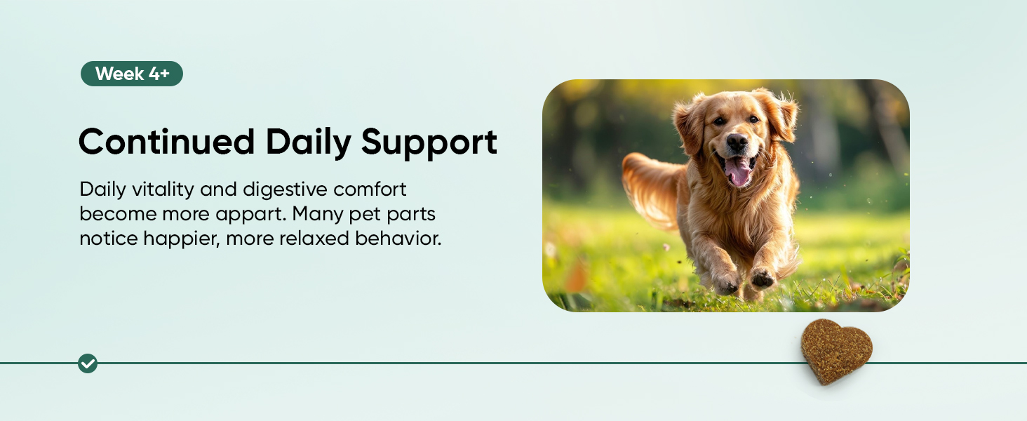 Probiotics for Dogs