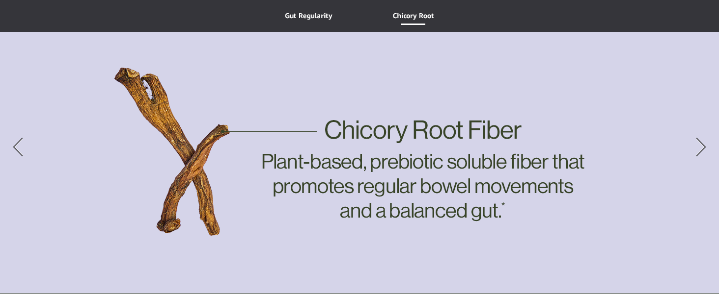 Chicory Root Fiber