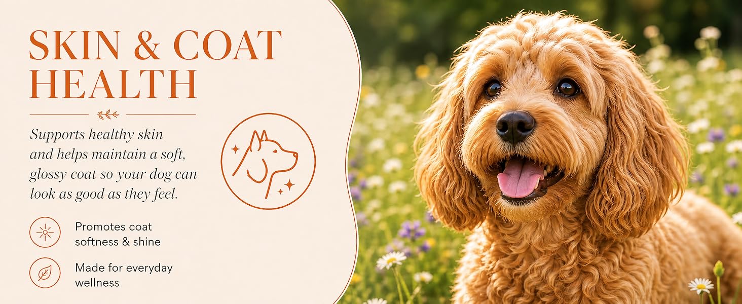 SKIN COAT HEALTH