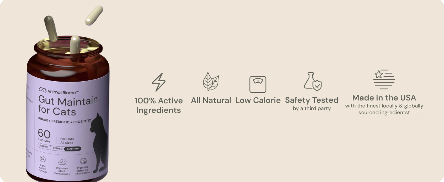 kitty biome supplement for cats unflavored ingredients for kitten gut support probiotics for cats