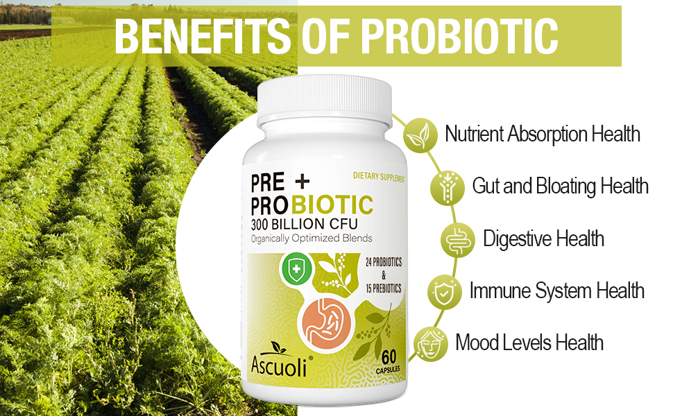 probiotic probiotics prebiotics probiotic for men probiotics for women probiotic for gut health