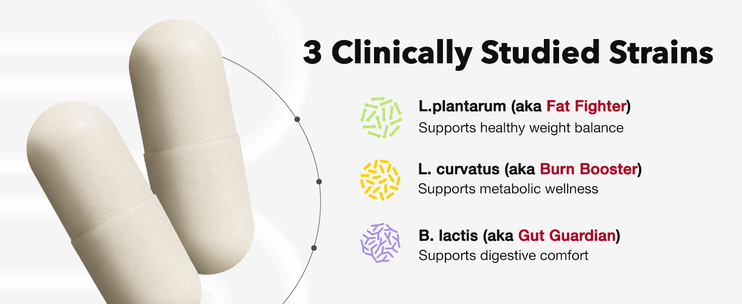 3 clinically studied strains