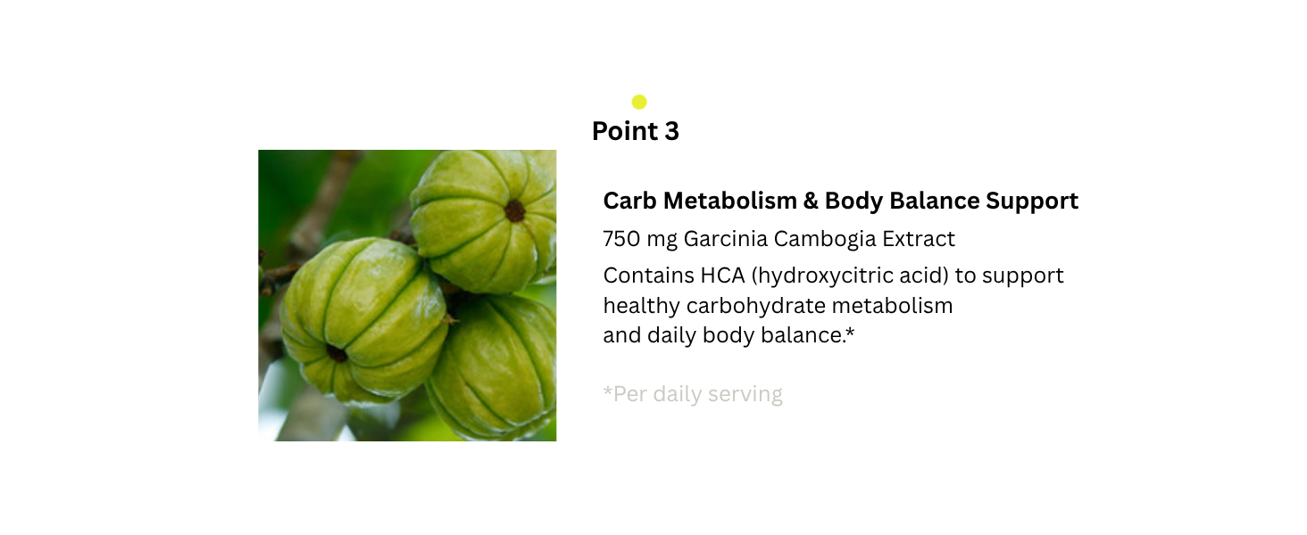 Body Point 3