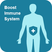 Boost Immune System