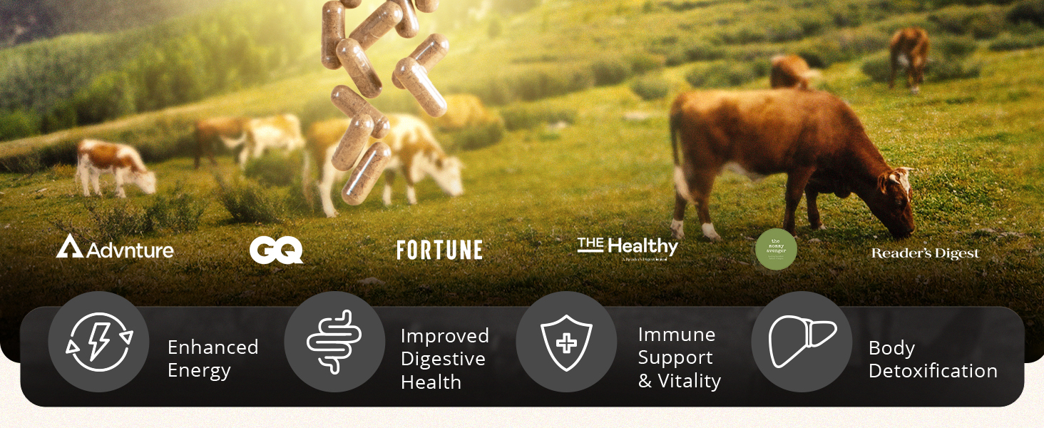 ancestral beef organs supplements for men natural iron supplement mineral superfood capsules