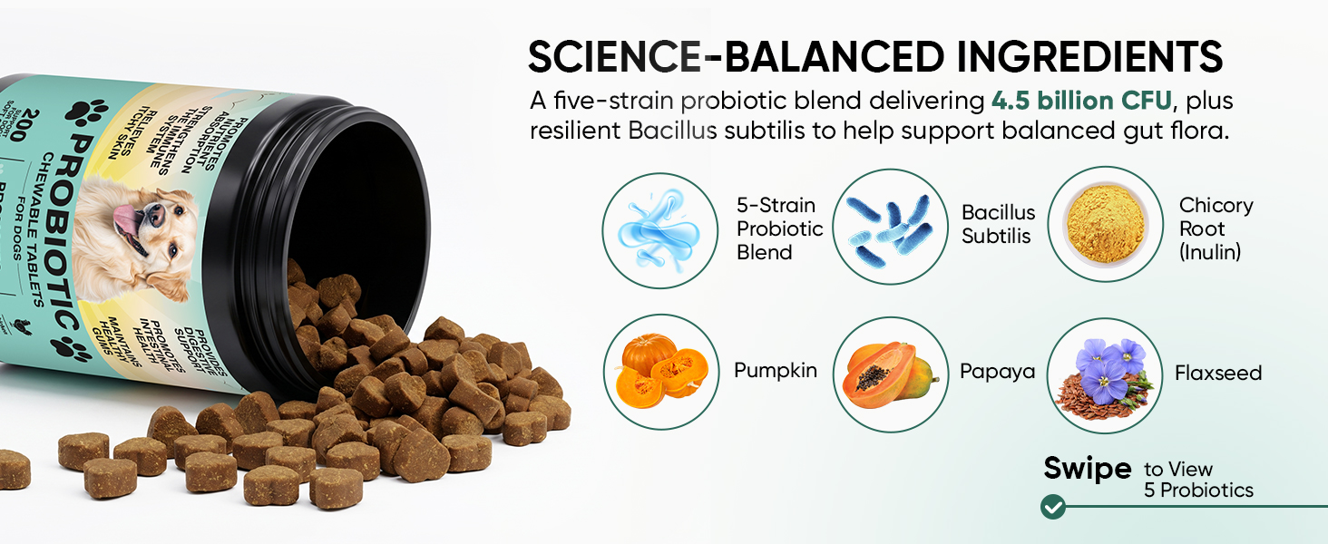 Probiotics for Dogs