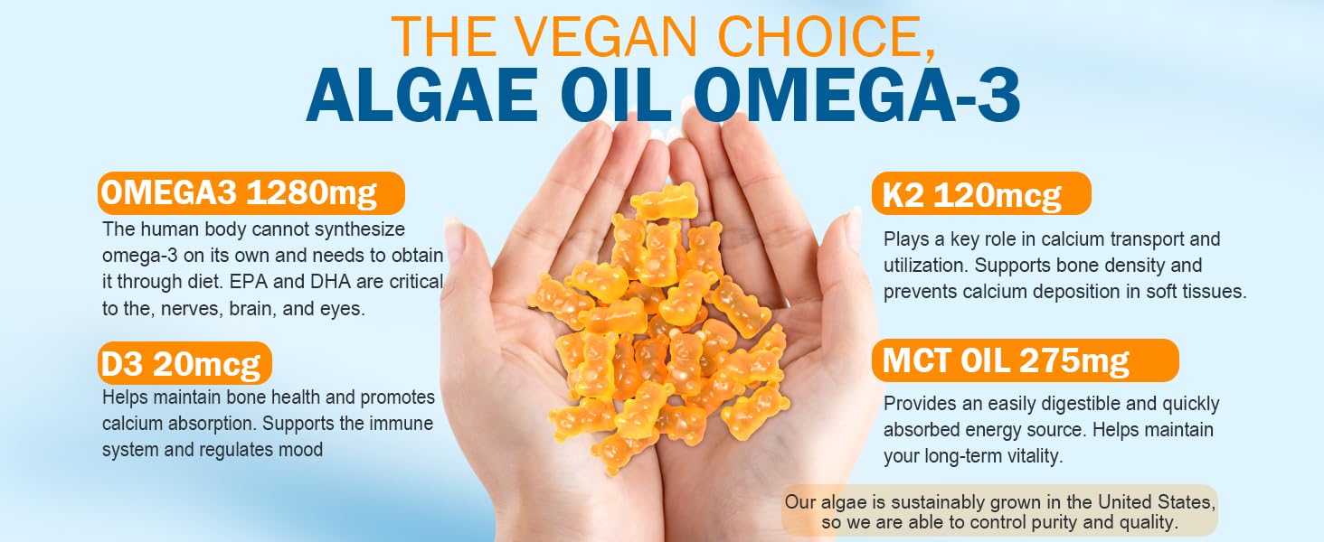 algae oil omega 3
