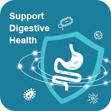 Support Digestive Health