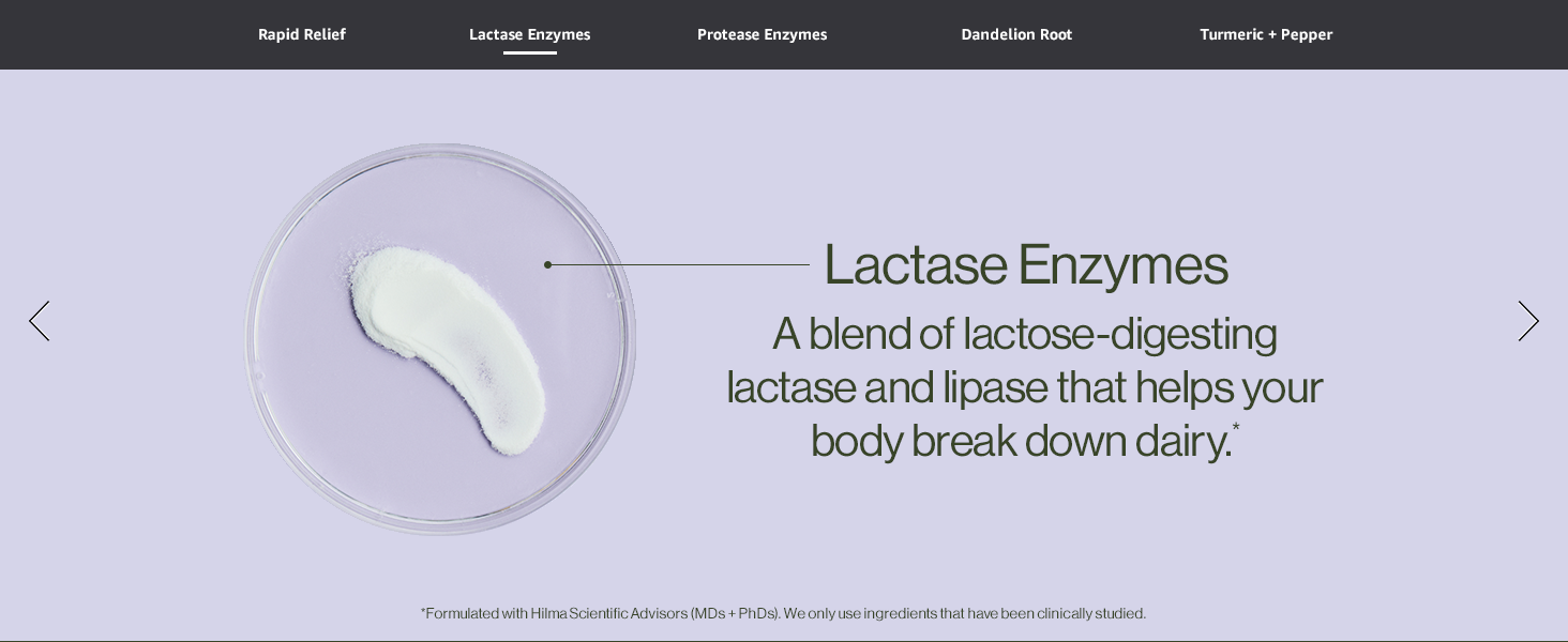 Lactase Enzymes