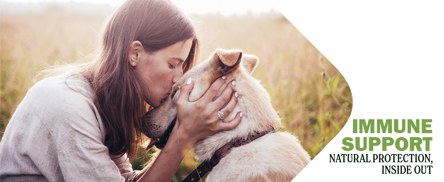 Immune support dogs