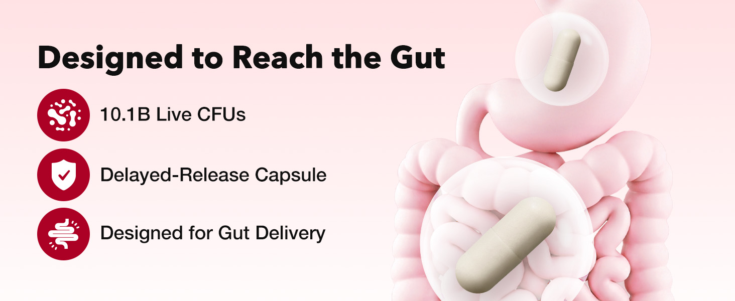 Designed to reach the gut