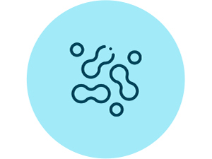 NewRhythm Probiotic contains prebiotic fiber