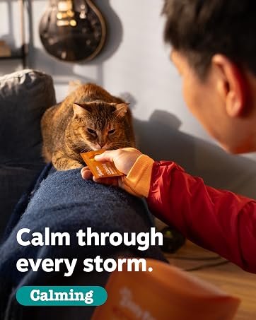 calming bites for dogs
