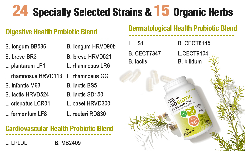 probiotic probiotics prebiotics probiotic for men probiotics for women probiotic for gut health