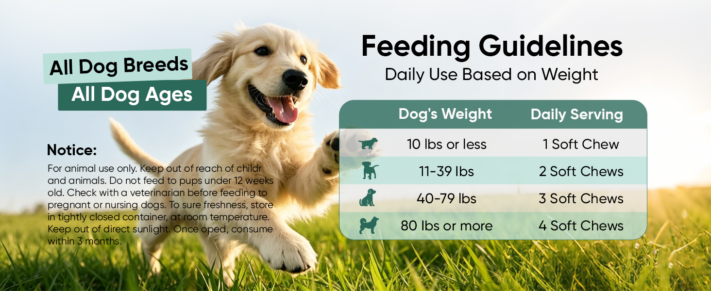 Probiotics for Dogs