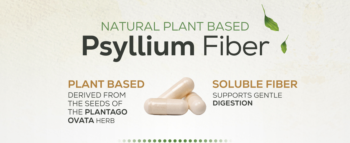 physllum psylum phsillum syllium cillium psysillium pslium psyilluan physullum psyillium