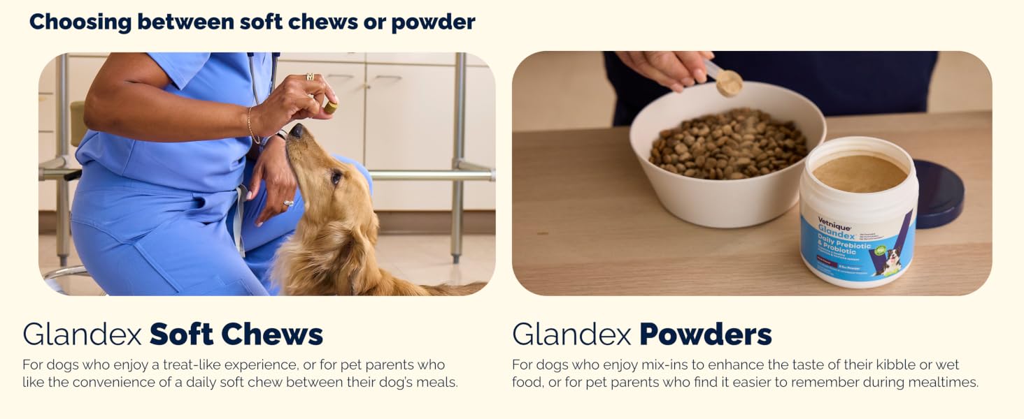 Vetnique Glandex comes in soft chews or powder mix-ins for picky dogs and mealtime routines